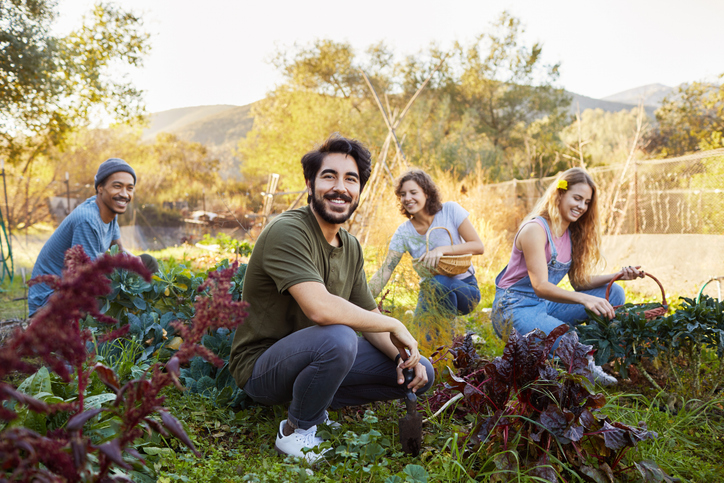 Neighborhood Assistance Program (NAP)